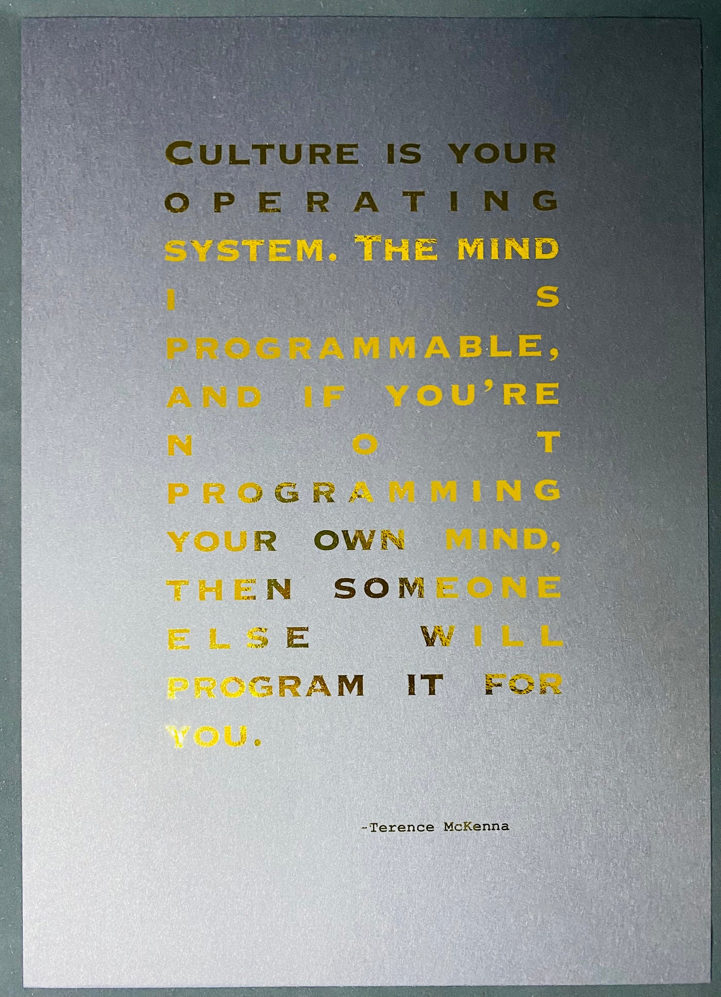 Terence Mckenna Quote Foil Print