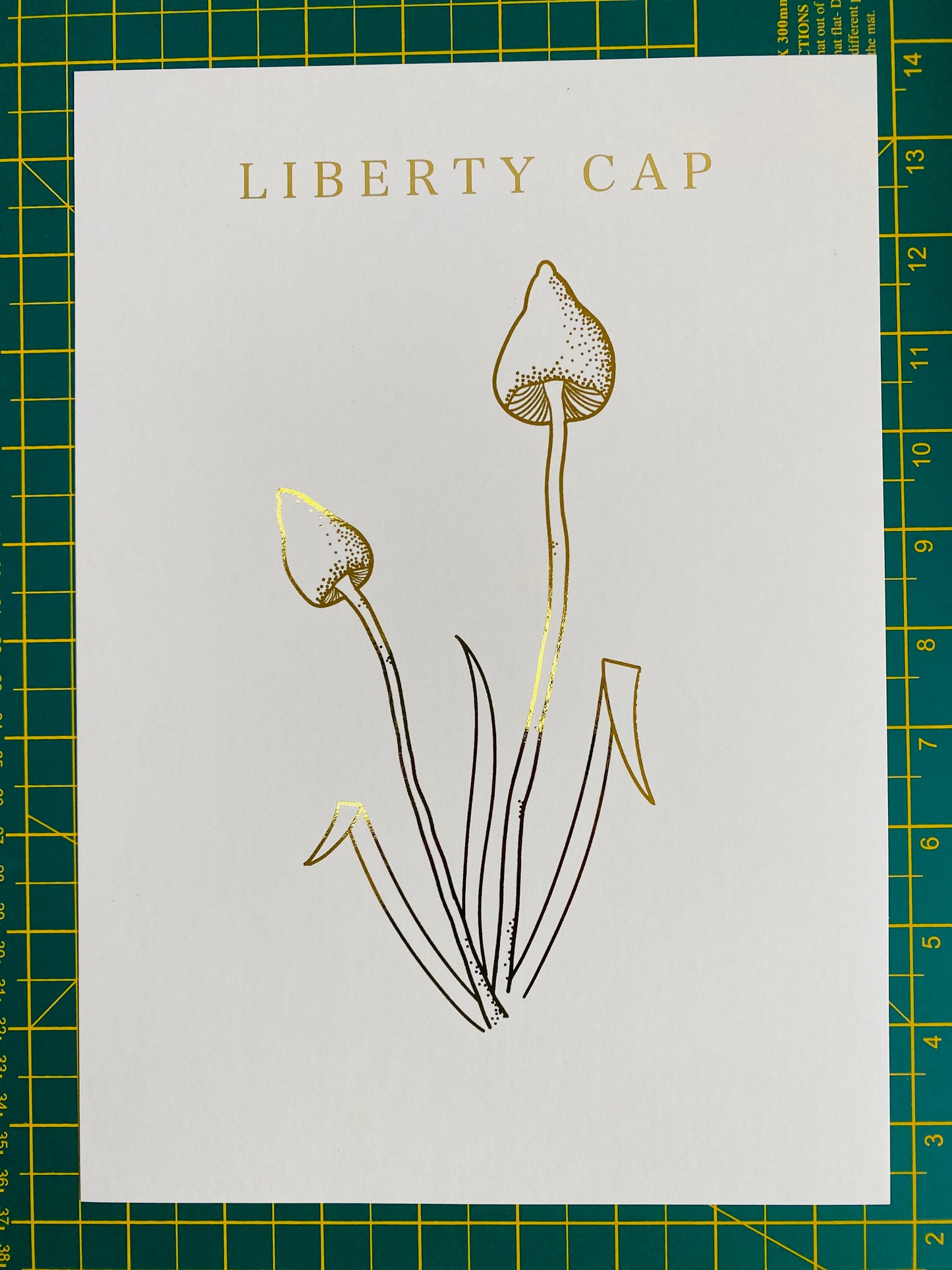 Liberty Cap Foil Print