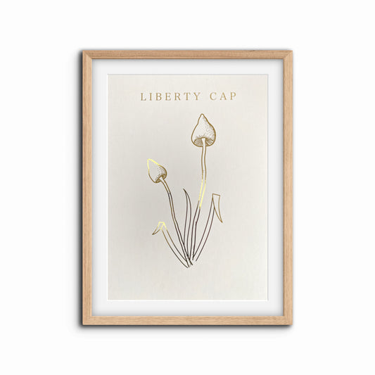 Liberty Cap Foil Print