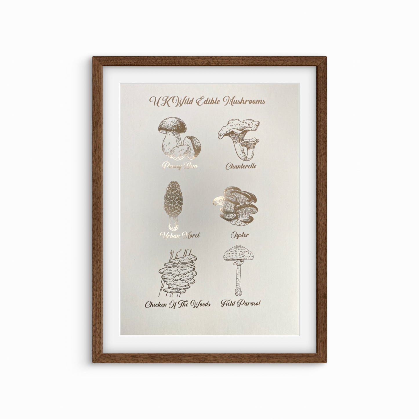 UK Wild Edible Mushroom Foil Print